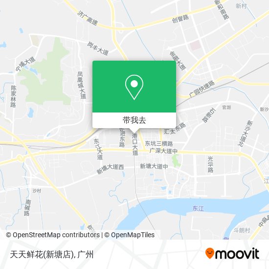 天天鲜花(新塘店)地图