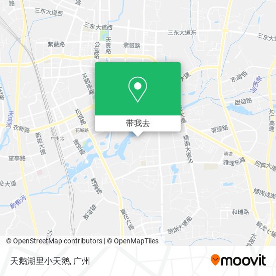 天鹅湖里小天鹅地图
