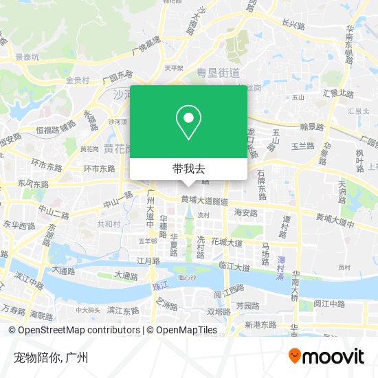 宠物陪你地图