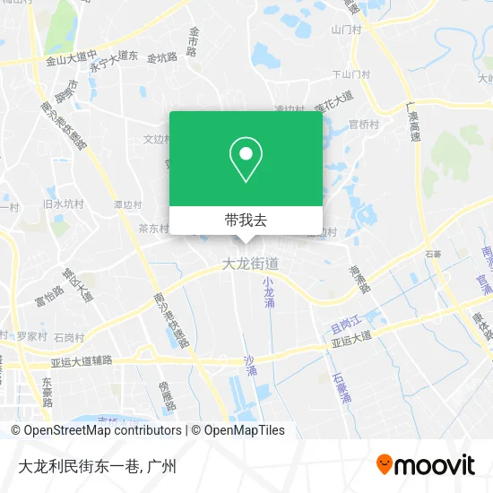 大龙利民街东一巷地图