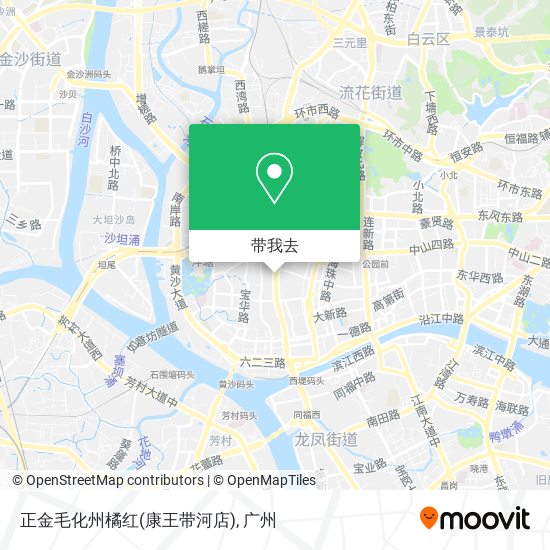正金毛化州橘红(康王带河店)地图