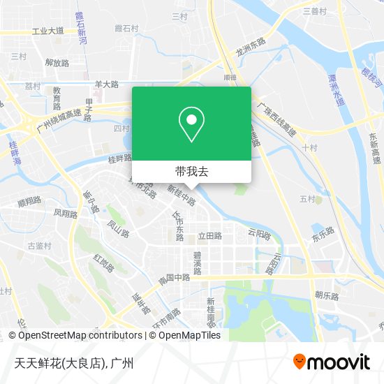 天天鲜花(大良店)地图