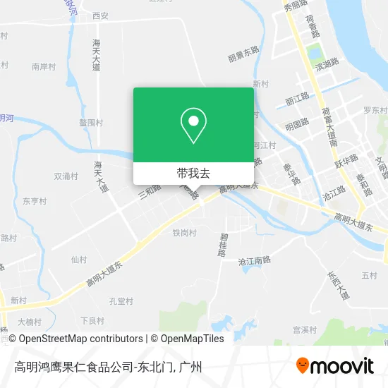 高明鸿鹰果仁食品公司-东北门地图
