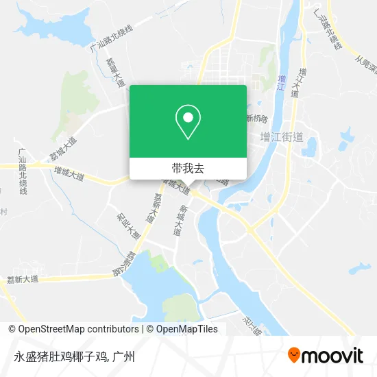 永盛猪肚鸡椰子鸡地图