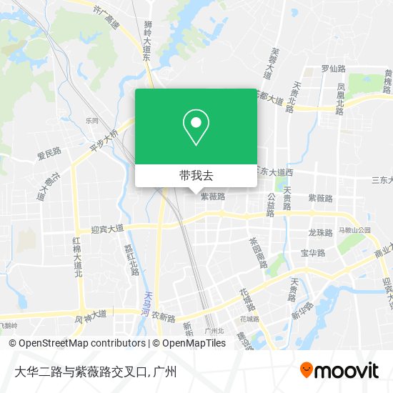 大华二路与紫薇路交叉口地图