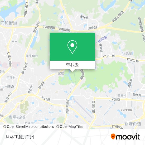 丛林飞鼠地图