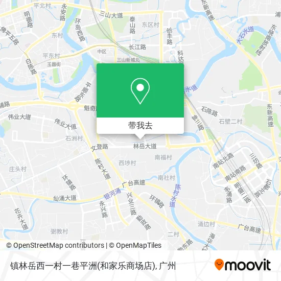 镇林岳西一村一巷平洲(和家乐商场店)地图
