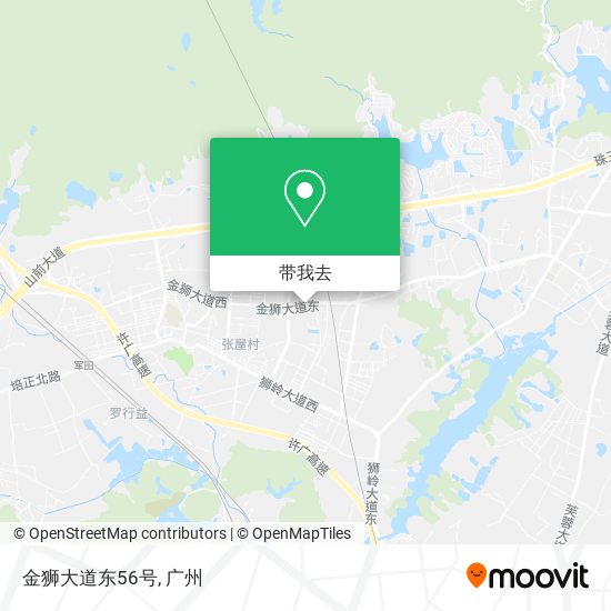 金狮大道东56号地图