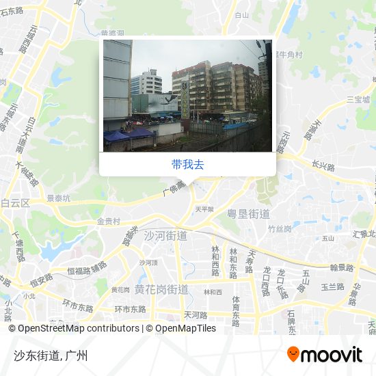 沙东街道地图