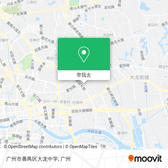 广州市番禺区大龙中学地图