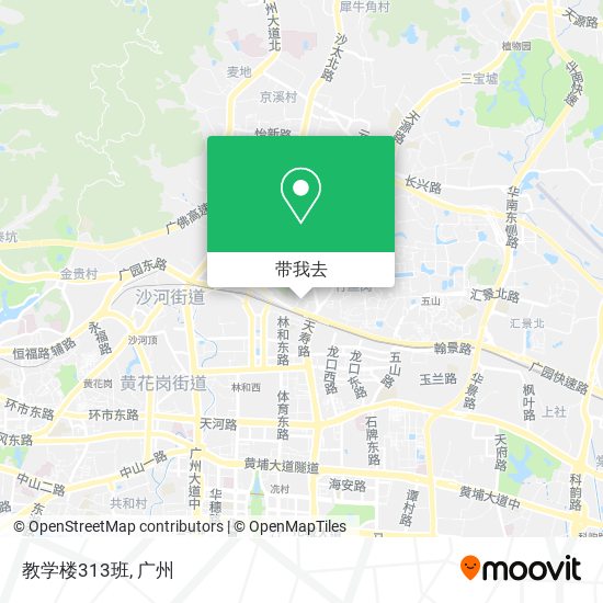 教学楼313班地图