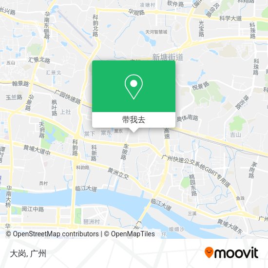 大岗地图