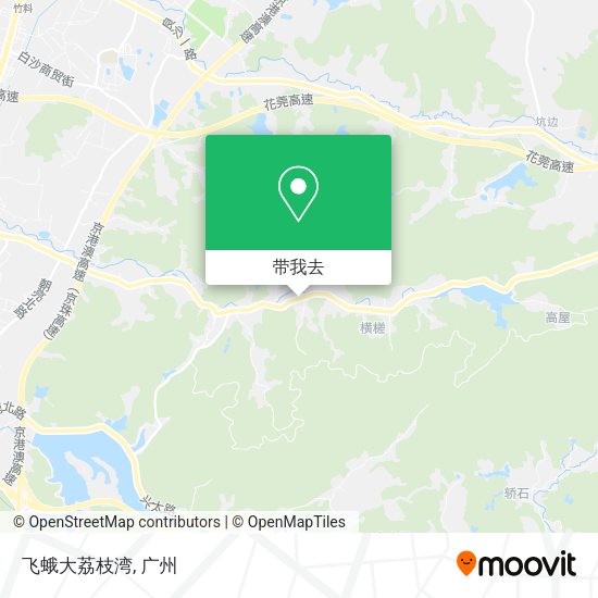 飞蛾大荔枝湾地图
