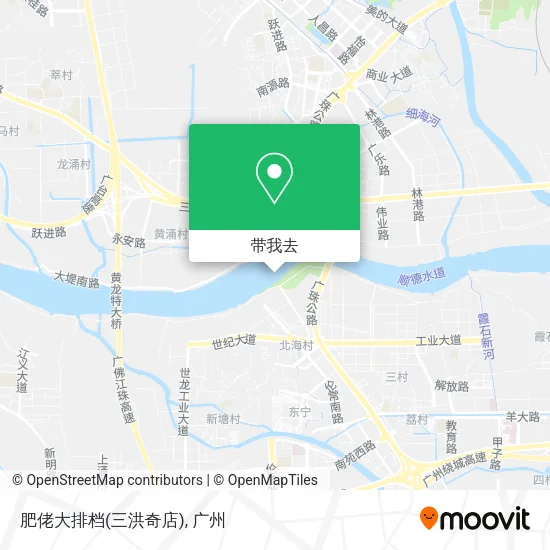 肥佬大排档(三洪奇店)地图