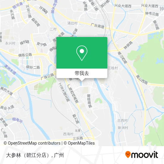 大参林（碧江分店）地图