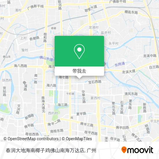 春润大地海南椰子鸡佛山南海万达店地图