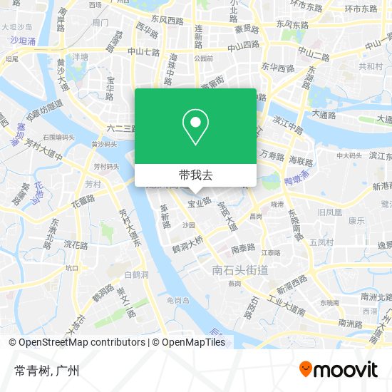 常青树地图