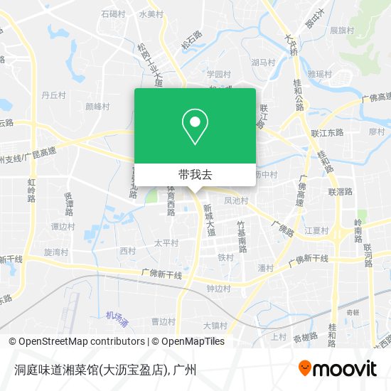 洞庭味道湘菜馆(大沥宝盈店)地图