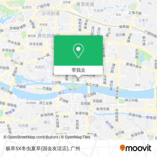 极草5X冬虫夏草(国金友谊店)地图