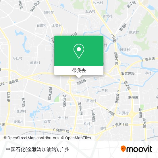 中国石化(金雅涛加油站)地图
