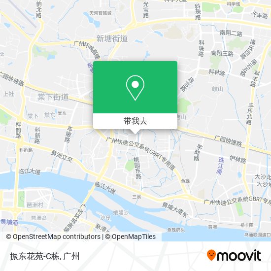 振东花苑-C栋地图