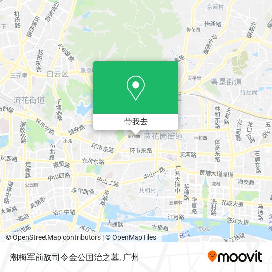 潮梅军前敌司令金公国治之墓地图