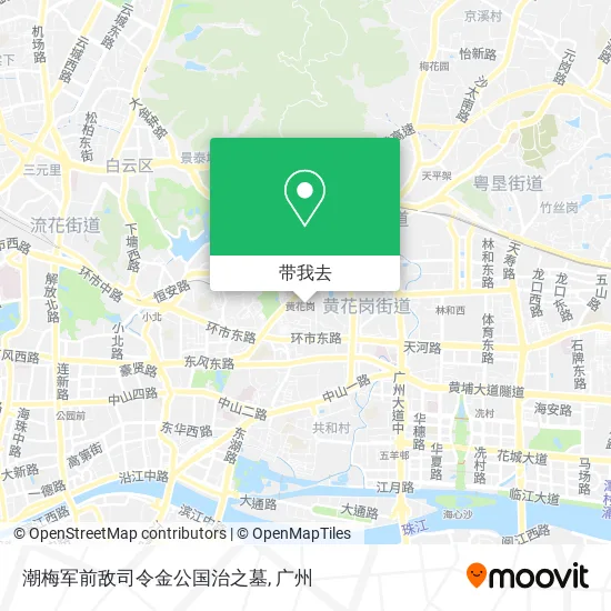 潮梅军前敌司令金公国治之墓地图
