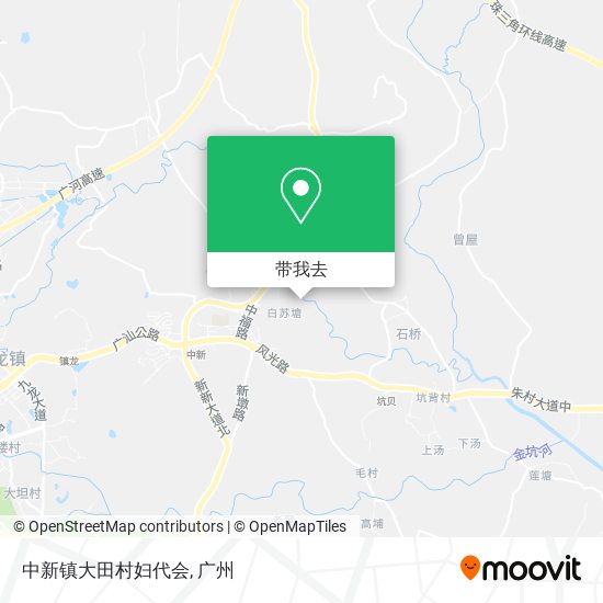 中新镇大田村妇代会地图
