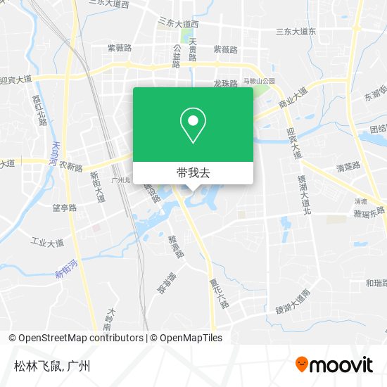 松林飞鼠地图