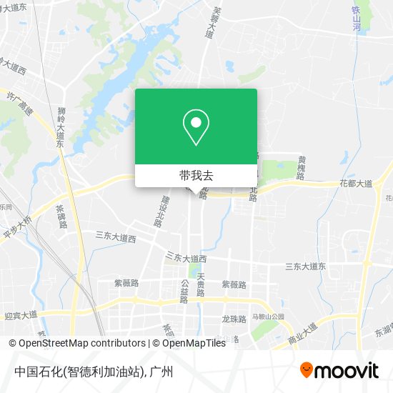 中国石化(智德利加油站)地图