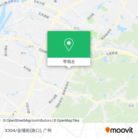 X304/金埔街(路口)地图