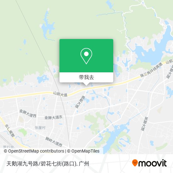 天鹅湖九号路/碧花七街(路口)地图