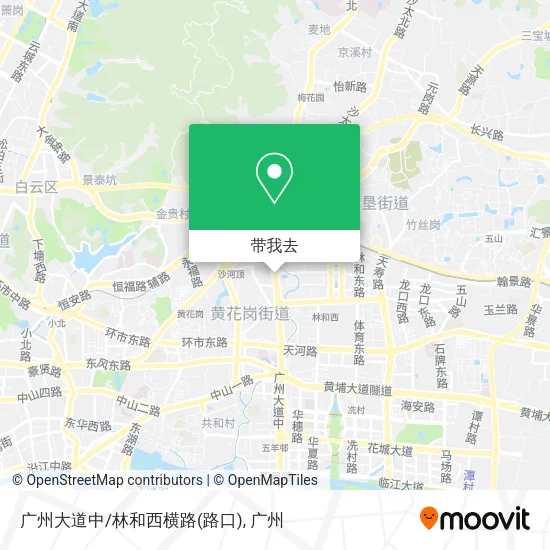 广州大道中/林和西横路(路口)地图