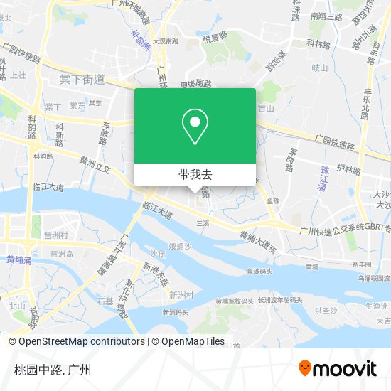 桃园中路地图