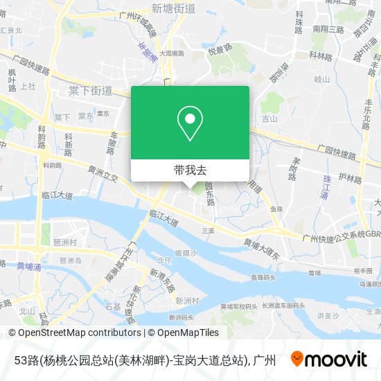 53路(杨桃公园总站(美林湖畔)-宝岗大道总站)地图