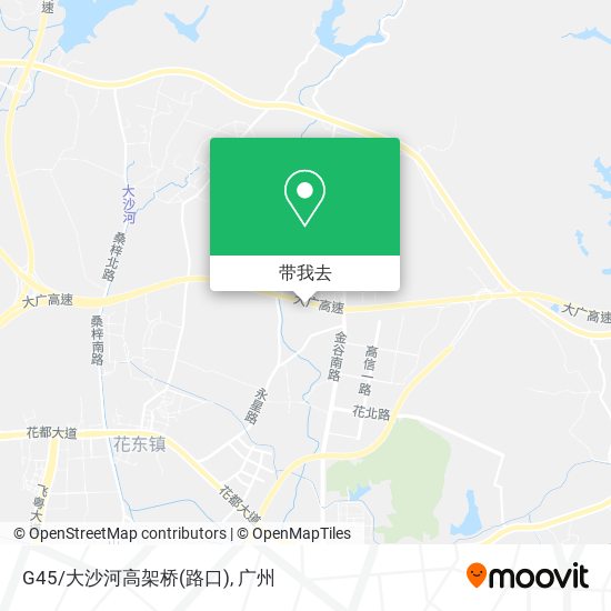 G45/大沙河高架桥(路口)地图