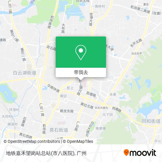 地铁嘉禾望岗站总站(市八医院)地图