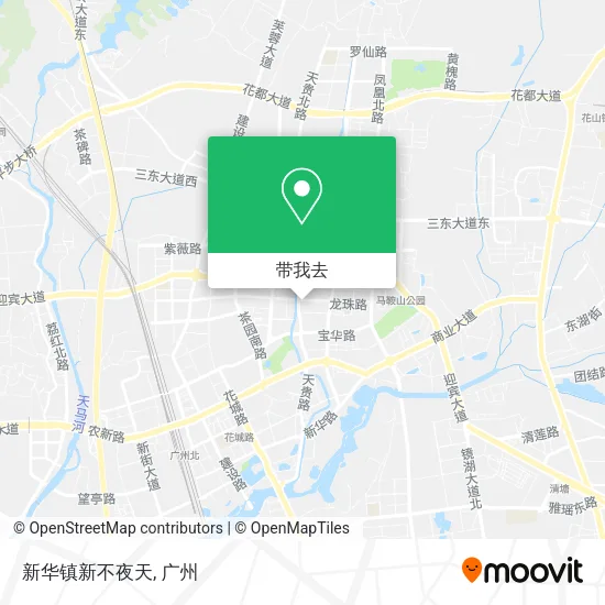 新华镇新不夜天地图