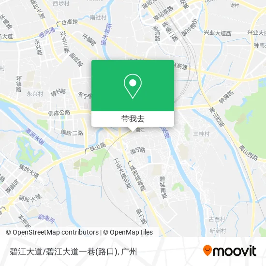 碧江大道/碧江大道一巷(路口)地图
