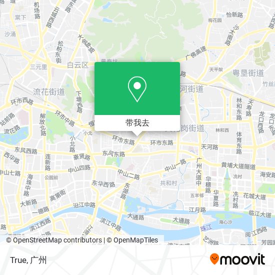 True地图