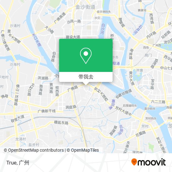 True地图
