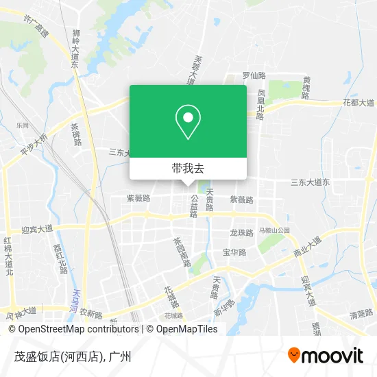 茂盛饭店(河西店)地图