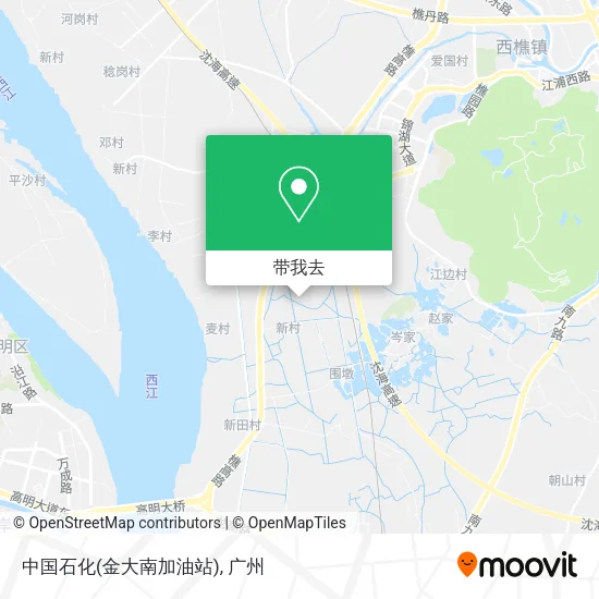 中国石化(金大南加油站)地图