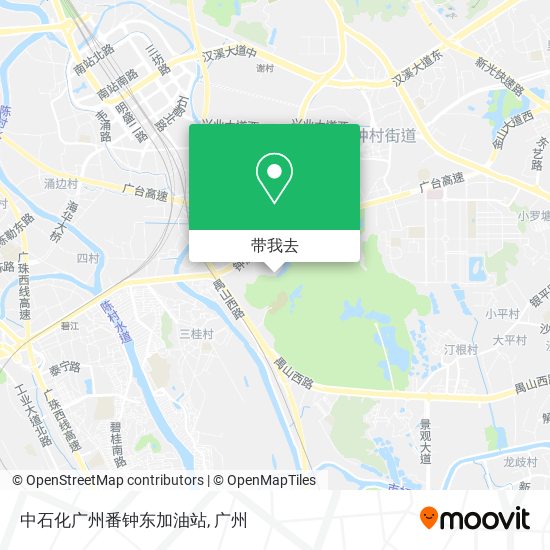 中石化广州番钟东加油站地图