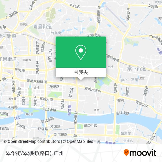翠华街/翠湖街(路口)地图