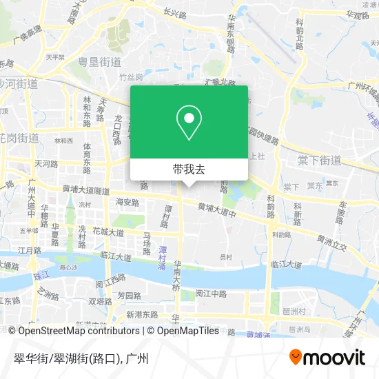 翠华街/翠湖街(路口)地图