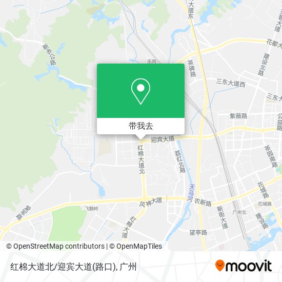 红棉大道北/迎宾大道(路口)地图