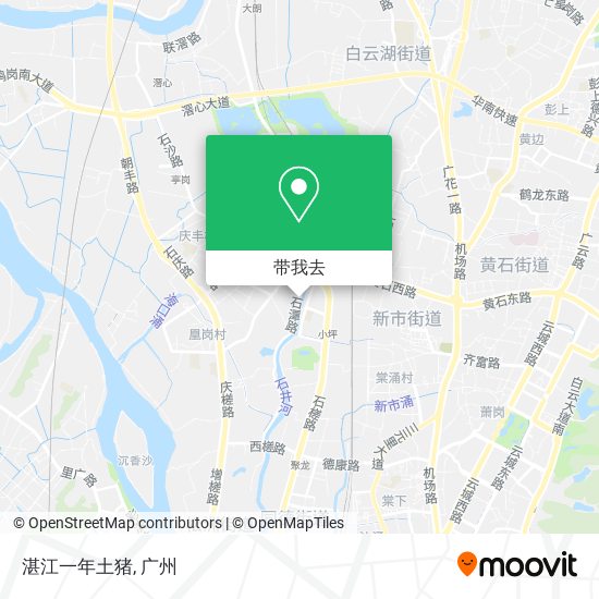 湛江一年土猪地图