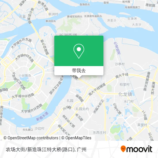 农场大街/新造珠江特大桥(路口)地图