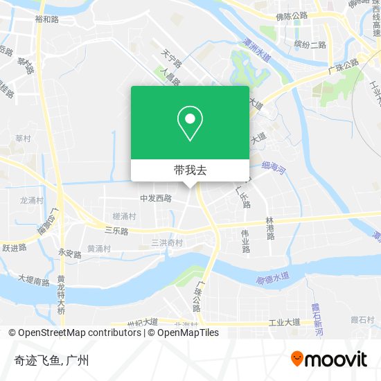 奇迹飞鱼地图